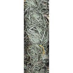 Dakota Decoy Raffia Marsh Grass - Winter Wheat 5lb 60002