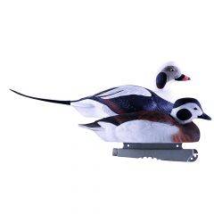 Avery PG Long-Tailed Ducks (6-pack) 74027