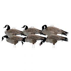 Avery PG Silhtte Decs Canada Goose w/flckd hds 77000