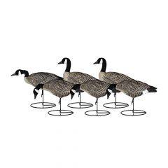 Dakota Decoy Lesser Canada Goose Mixed 6pk 14200