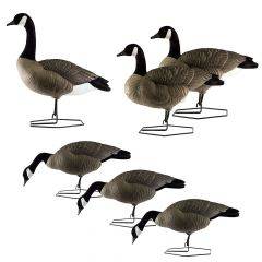 DOA Decoys Rogue Series Full Body Mixed Packs 6pk 450000