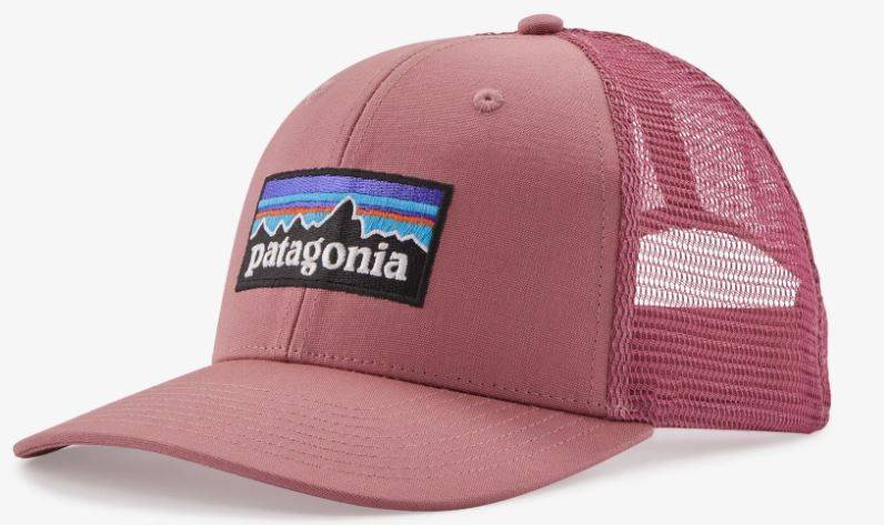 patagonia 38289 Logo Hat